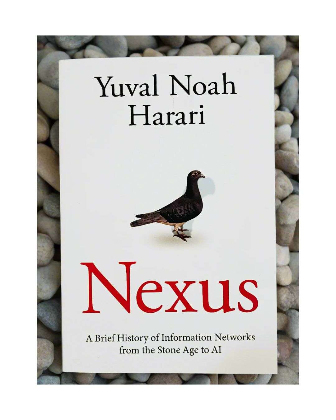 Nexus: A Brief History of Information Networks from the Stone Age to ai by Yuval Noah Harari