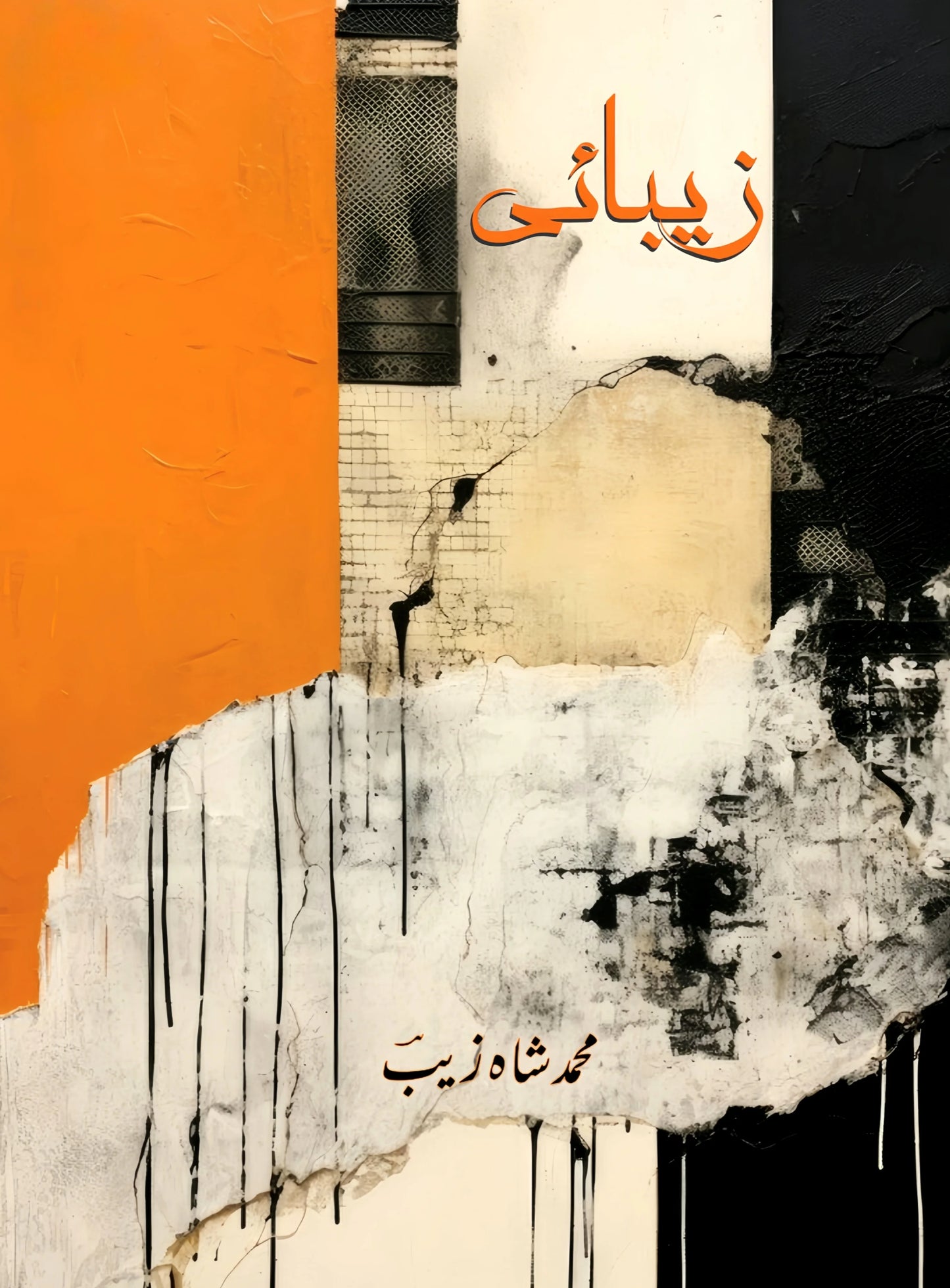 Zaibai book by Muhammad Shahzaib