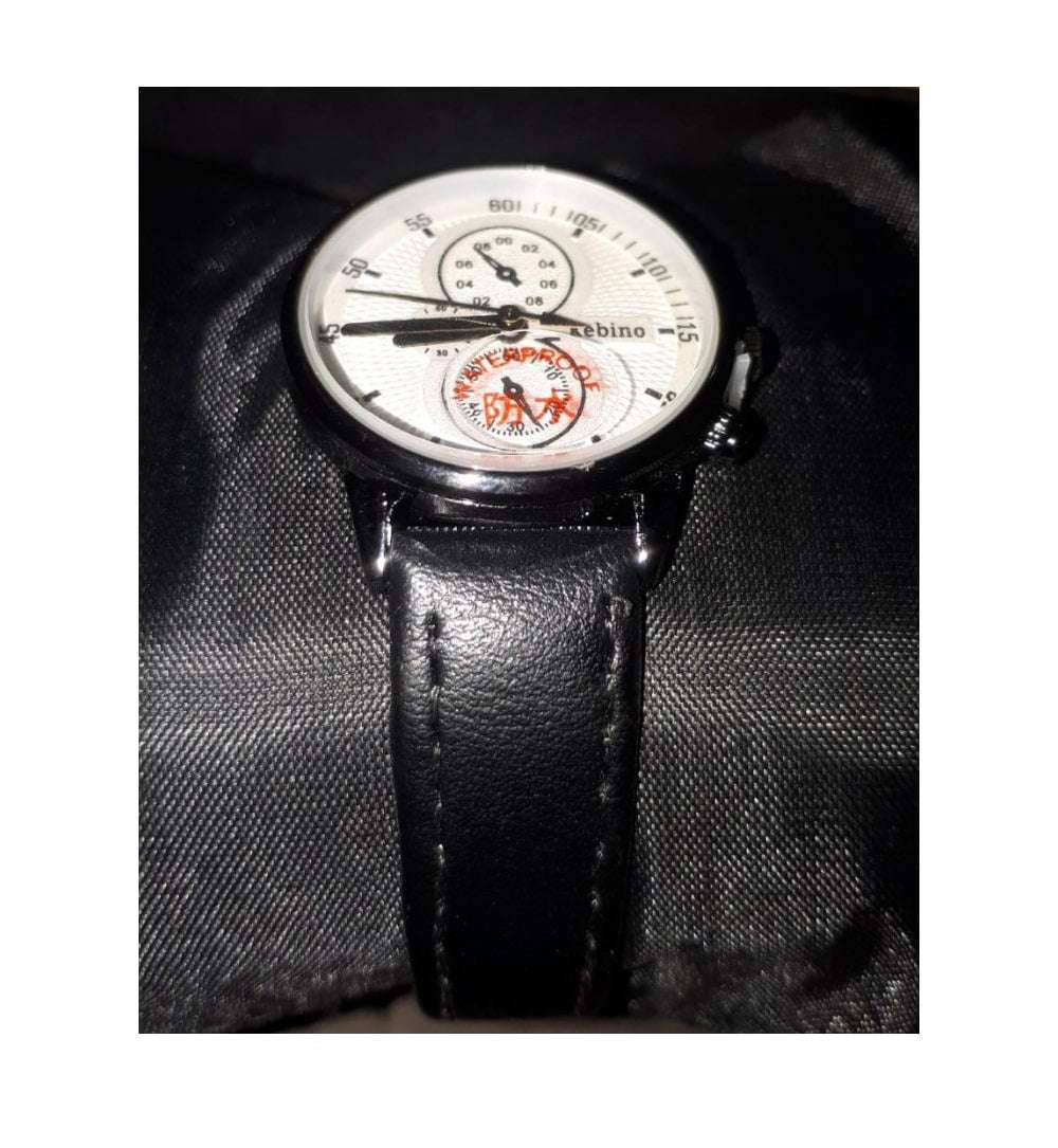 Rebino Waterproof Man Watch