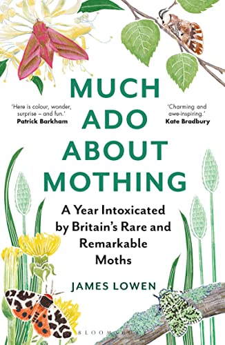 Cover of Much Ado About Mothing – Buy Online in Pakistan