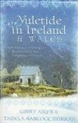 Shop Yuletide in Ireland and Wales: Lost and Found / Colleen of Erin (Heartsong Christmas 2-in-1) Book Online – Fast Delivery