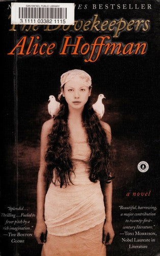 The Dovekeepers by Alice Hoffman book cover