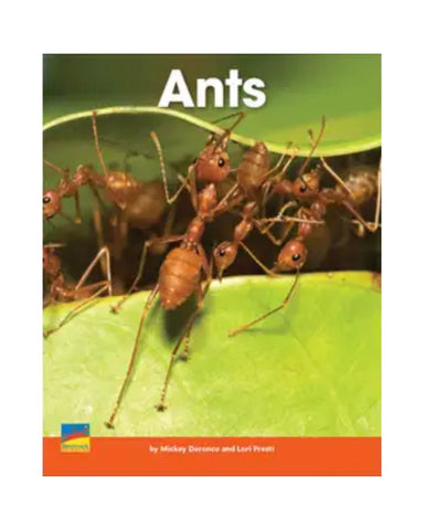 Improve Your Child's Vocabulary - Ants - Original