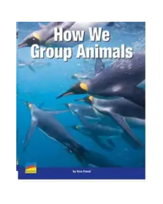 buy-improve-your-childs-vocabulary-how-we-group-animals-original-online-in-pakistan