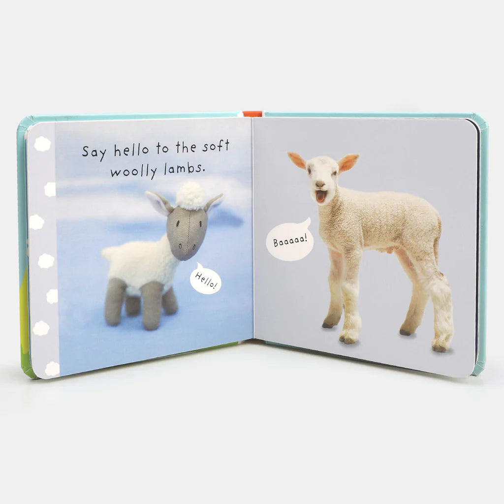 BABY LOVE BABY ANIMALS - BOARD BOOK | Online Book Store Pakistan – OnlineBooksOutlet