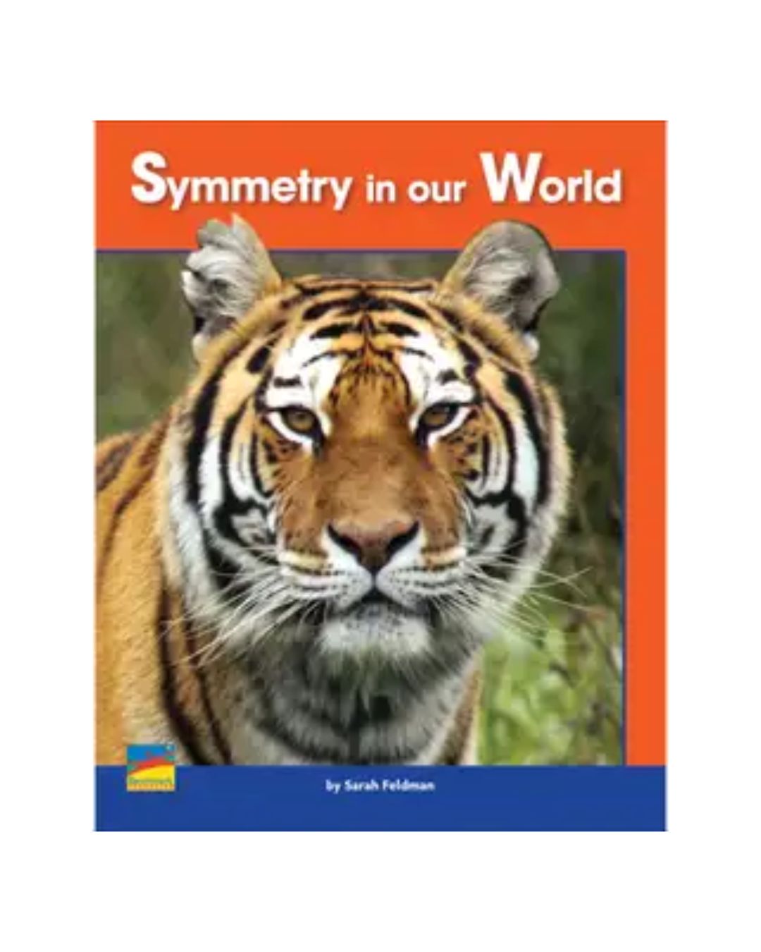 order-improve-your-childs-vocabulary-symmetry-in-our-world-original-online-with-cod