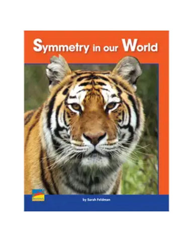 Symmetry in Our World - OnlineBooksOutlet