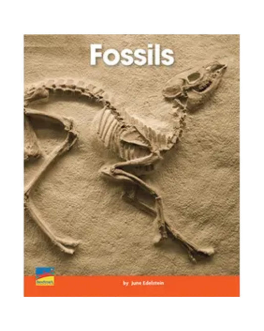 buy-improve-your-childs-vocabulary-fossils-original-online-in-pakistan