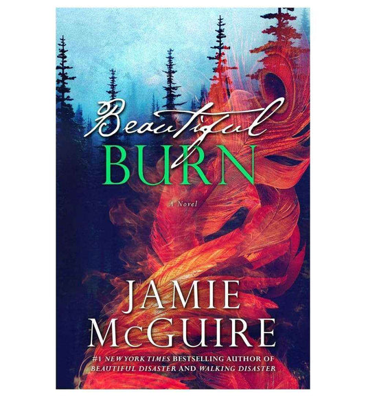 shop-beautiful-burn-the-maddox-brothers-4-by-jamie-mcguire-with-free-delivery