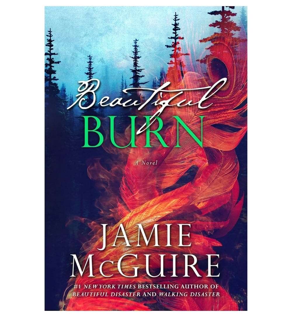 beautiful-burn-book - OnlineBooksOutlet