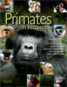 Primates in Perspective Book Cover Image
