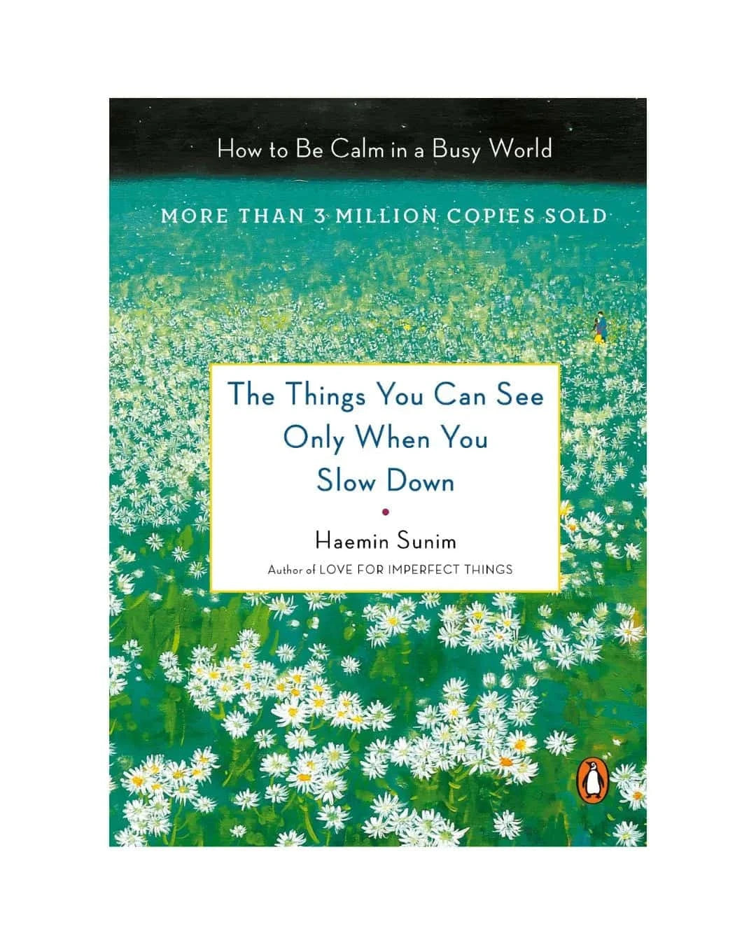 buy-the-things-you-can-see-only-when-you-slow-down-how-to-be-calm-in-a-busy-world-by-haemin-sunim-online-in-pakistan