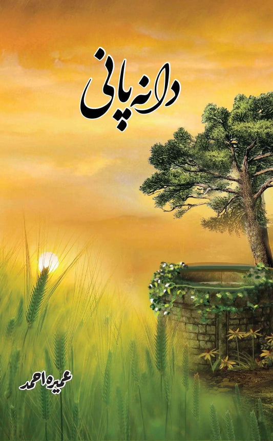 Dana Pani by Umera Ahmed by Umera Ahmed - book cover