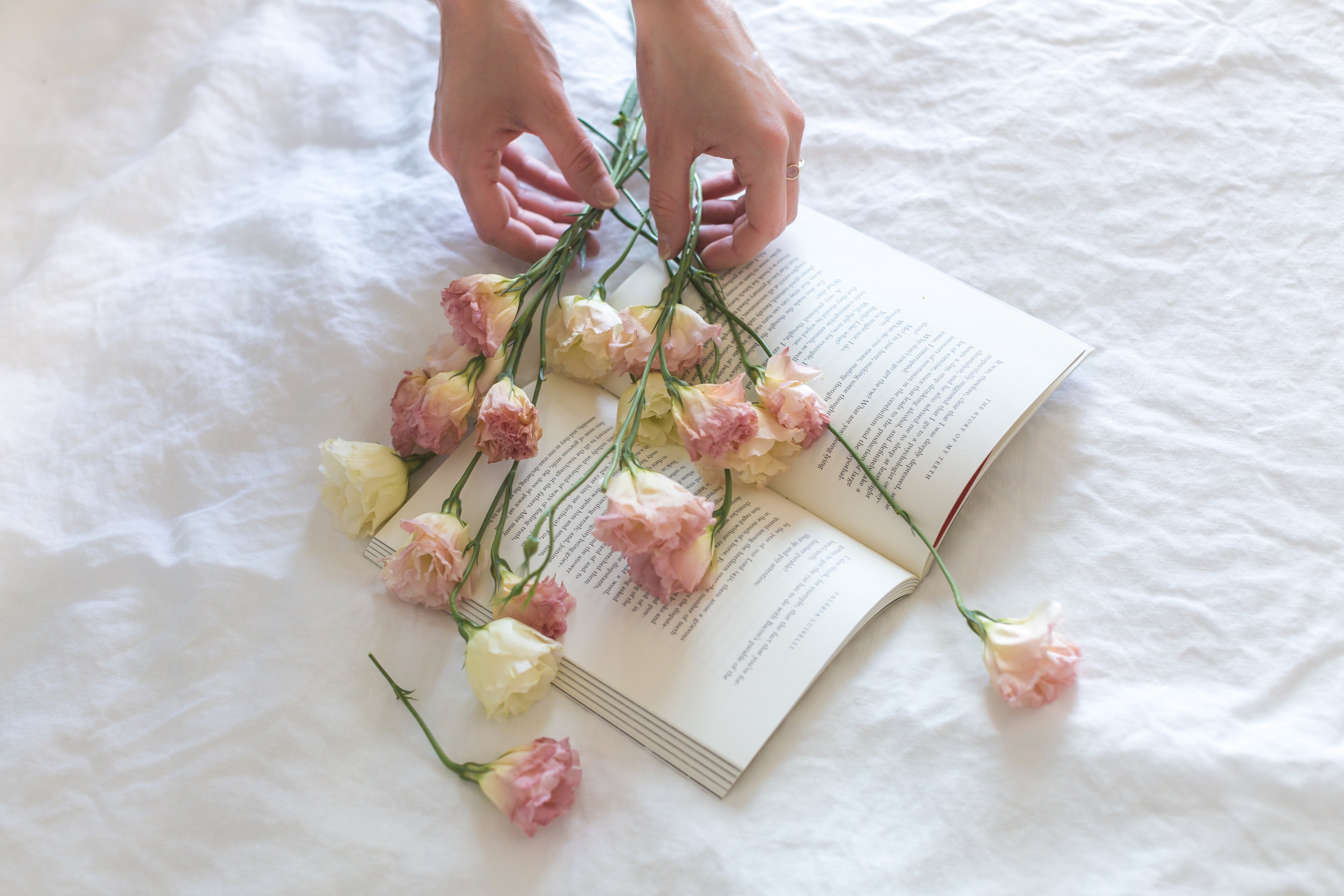 OnlineBooksOutlet