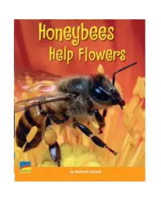 order-improve-your-childs-vocabulary-honeybees-help-flowers-original-online-with-cod