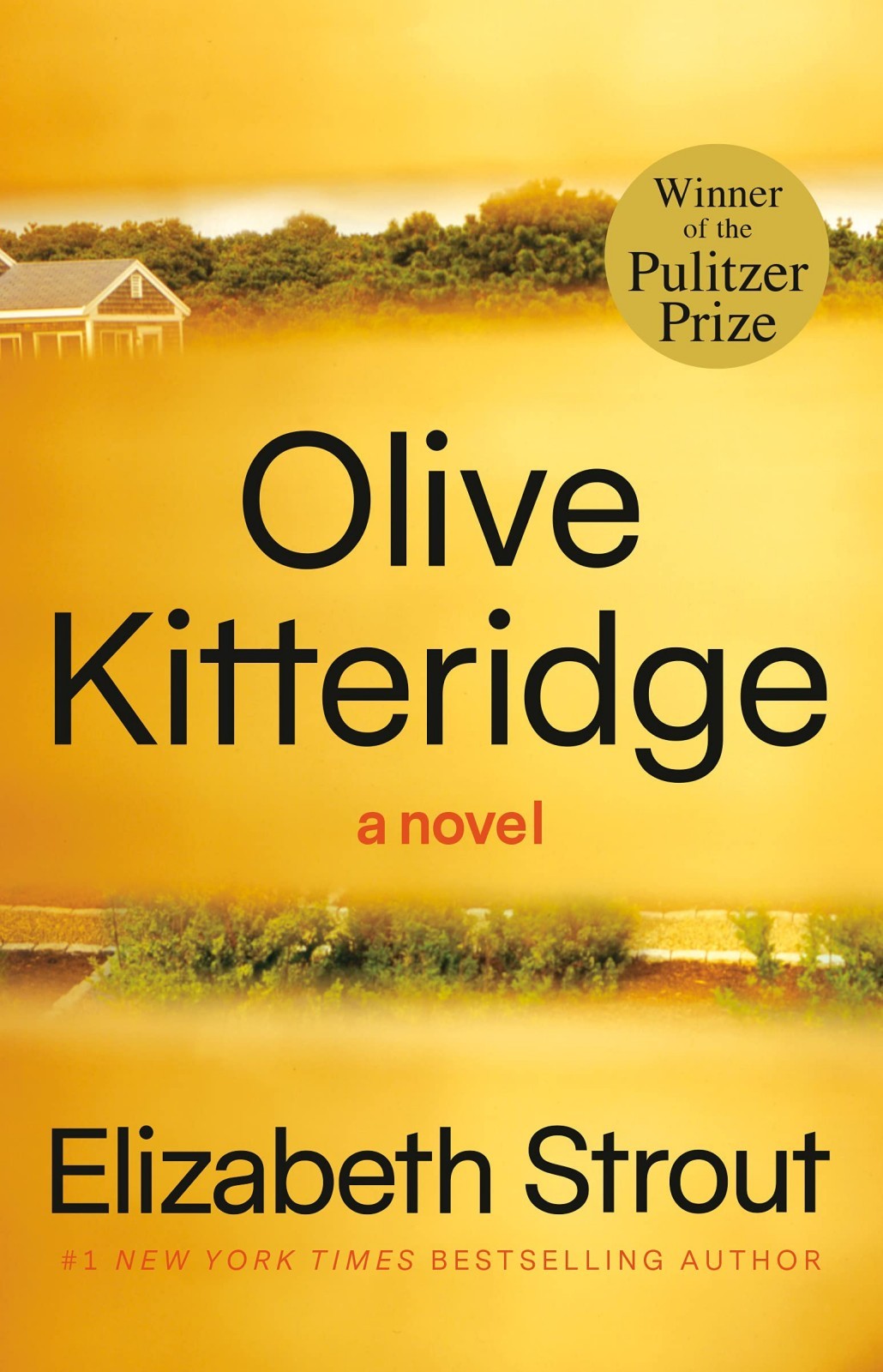 Olive Kitteridge by Elizabeth Strout - front cover of the Pulitzer Prize-winning paperback, available in Pakistan