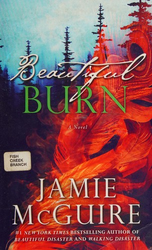Cover of Beautiful Burn: A Novel (The Maddox Brothers Book 4) – Buy Online in Pakistan