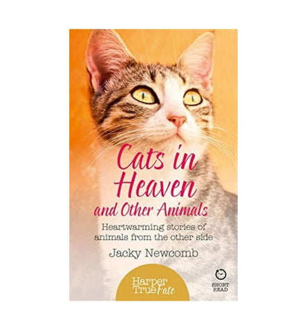 buy-cats-in-heaven-and-other-animals - OnlineBooksOutlet