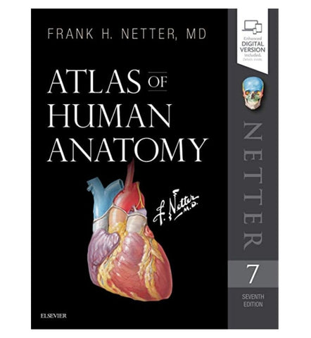 buy-netter-atlas-of-human-anatomy - OnlineBooksOutlet
